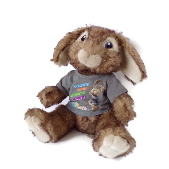 Build a Bear Workshop HOP The Movie Bunny Rabbit with T-Shirt 3038 - Picture 1 of 8